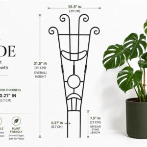 Elegant Black Metal Plant Support Trellis | Decorative Climbing Plant Stake