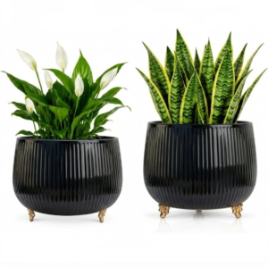 Black plant pots with gold feet set of 2